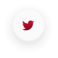 Live Streaming Platform