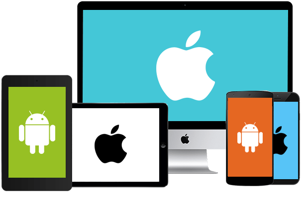 Cross Platform Development